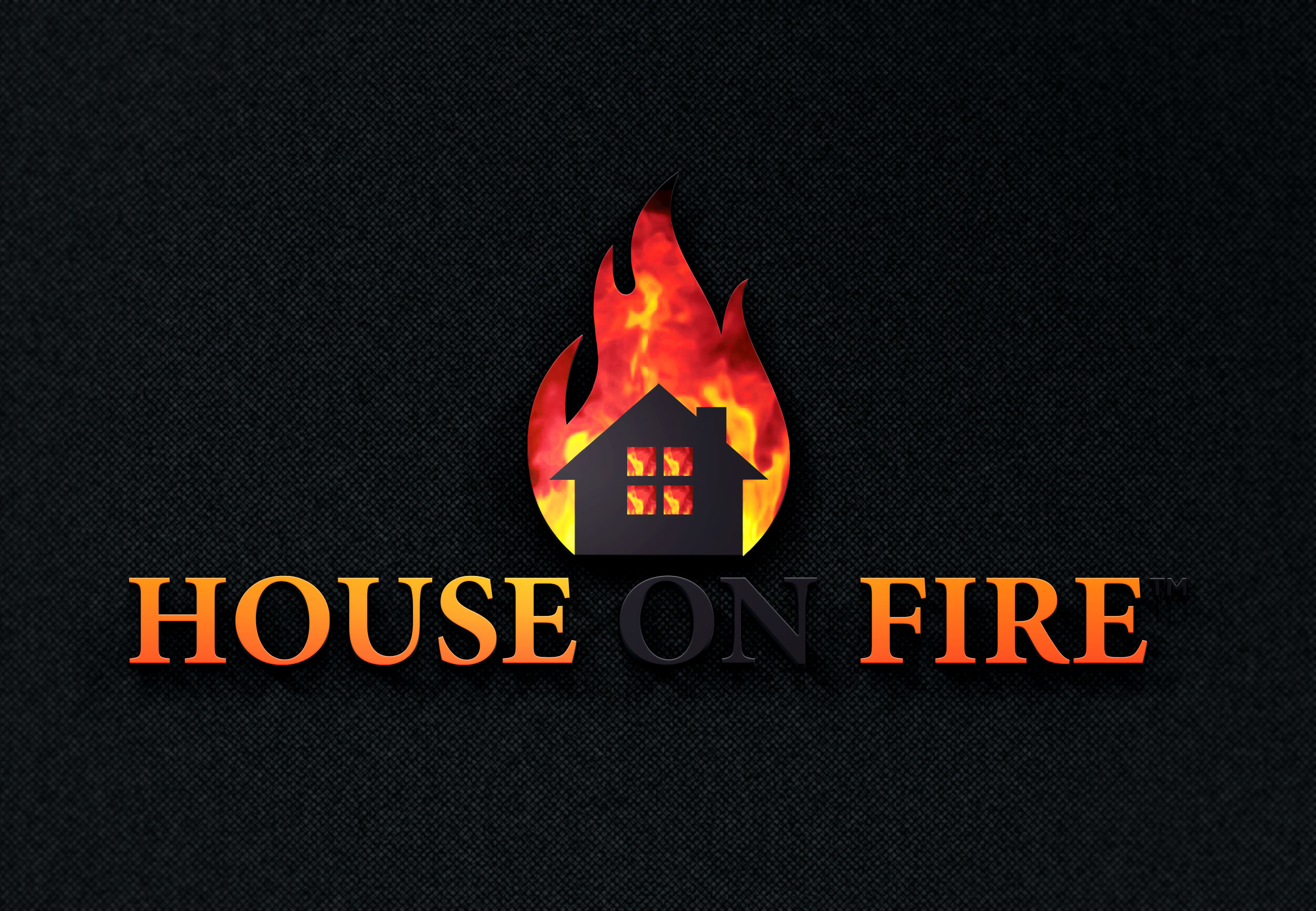 House on Fire: Career Crisis Management & Success Planning Self-Guided Online Coaching